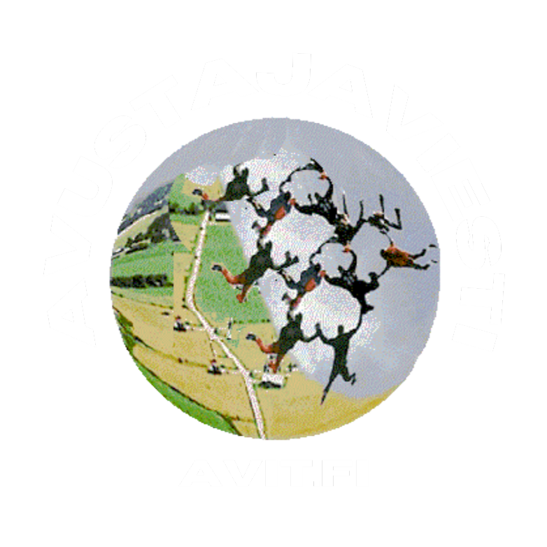Avustajaviesti